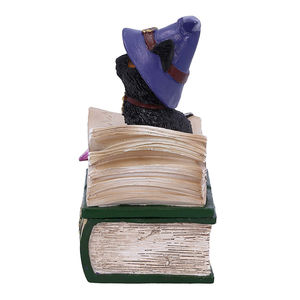 <span class=keywords><strong>Binx</strong></span> Petite figurine de chat noir et de livre de sorts, boîte à bibelots - Product Image 4
