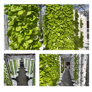 Système de culture hydroponique vertical à 7 étages <span class=keywords><strong>pour</strong></span> la culture de légumes en serre intérieure sans sol OEM - Product Image 2