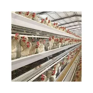 Chine Un Type Poulailler Poulailler Vente en gros Transport de poulet Cage de couche Fabricants cage de poulet pondeuse automatique