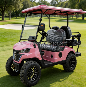 Carrito de Golf Eléctrico de 6 Plazas con Pantalla de Velocímetro y Luz Personalizable para Escenarios de Turismo Ecológico en Zonas Húmedas - Product Image 3