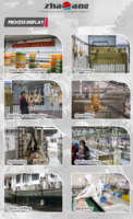 Equipement automatique d'abattoir de volaille halal cônes d'abattage de poulets abattoir volaille à vendre