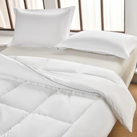 Fournisseur de couettes d'hôtel, fabricant de couettes sur mesure pour les quatre saisons, couette en tissu polyester avec rembourrage et housse