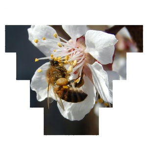 Écran LED intérieur P2.976 - Affichage numérique et location d'écrans 500*500mm pour événements et publicité - Product Image 2