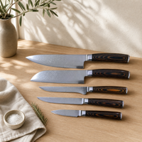 Ensemble de couteaux de cuisine en acier Damas, couteau de chef, couteau Santoku, couteau utilitaire, manche en bois coloré, lame tranchante pour la cuisine à domicile