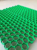 Grilles de gazon en HDPE, tapis de stationnement pour gazon, pavés de gazon pour allées, directement de l'usine