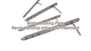 Dokter Hewan ortopedi 2.0/2.4/2.7/3.5mm pelat pengunci jembatan sistem implan hewan pelat lanjut tulang dokter hewan - Product Image 6