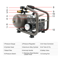 Compresseur d'air à piston portable silencieux sans huile PM720, moteur 12V DC, refroidissement par air, robuste pour usage automobile et professionnel