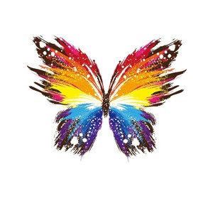 高速転送印刷スクリーン印刷ステッカーデザイナー用ヒートプレス印刷デザイン衣服用 - Product Image 1