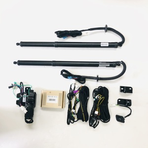 Leapmotor C01 2023 + tay miễn phí điện cổng sau thang máy Kit kiểm soát thân xe - Product Image 5