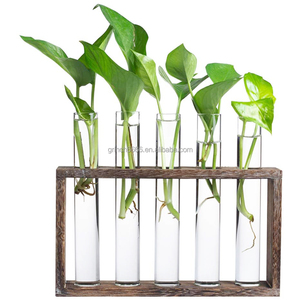 Stazione di Propagazione Piante 2022, Vaso Tubolare in Legno <span class=keywords><strong>da</strong></span> Appendere, Fioriera in Vetro, Supporto per Terrario - Product Image 2