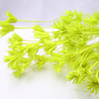 Bouquet de fleurs décoratives multicolores en nigelle et anis étoilé, fait main, longue durée (3-5 ans), idéal pour la maison et la fête des Mères