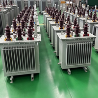 Transformateur de distribution triphasé immergé dans l'huile pour usage agricole et parcs industriels, 50KVA, 80KVA, 100KVA, 125KVA, 6kV, 10kV