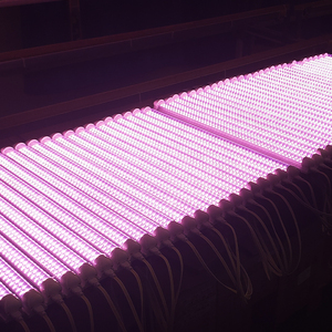 Quang phổ đầy đủ chất diệp lục một (uW/cm ') 77.357 <span class=keywords><strong>Par</strong></span> 9/<span class=keywords><strong>18</strong></span>/24/36/48 <span class=keywords><strong>W</strong></span>át 600 1200 1500 mét <span class=keywords><strong>Led</strong></span> phát triển Ống ánh sáng - Product Image 3