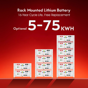 KEVOLT ESS 랙 태양광 배터리 5kWh~50kWh 리튬 배터리 48V LiFePO4 배터리 팩 가정용 에너지 저장 시스템 - Product Image 2