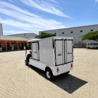Carrito de Golf Utilitario de 2 Plazas Económico con Motor de CA de 3.5KW para Transporte en Atracciones Turísticas con Entrega Rápida