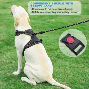 Arnés y Correa Ajustables de Neopreno para Perro, Duraderos y Personalizados, con Acolchado Transpirable de Malla Reflectante - Product Image 5
