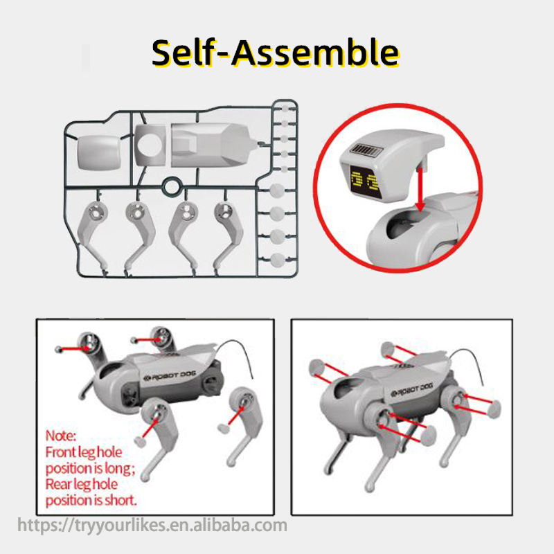 EPT-RC AI Robot Dog: Programmable Smart Pet for STEM - Image 3