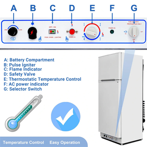 Refrigerador/Congelador de Absorción a Gas R717 AC 110V LGP para el Hogar - Product Image 3