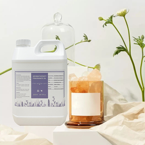 Diffuseur d'arôme d'huile essentielle électrique de parfum d'huile de parfum de <span class=keywords><strong>Luzi</strong></span> avec le concentré à distance de parfum d'huile d'Aragrance - Product Image 2