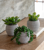 3 Pièces de Petites Plantes Succulentes Artificielles Naturelles avec Pots en Céramique pour Décoration de Bureau et de Maison - Ensembles de Plantes en Pot Artificielles