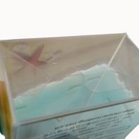 Caja de plástico con impresión personalizada, caja de plástico transparente con impresión offset de regalo para festival