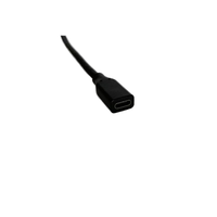 Câble USB3.1 Type C femelle DP de 0,3 m à montage sur panneau PVC, extension 8K 60 Hz pour moniteur, projecteur, haut-parleur, HDTV, ordinateur