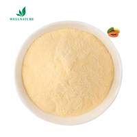 Poudre de Papaya à base d'extrait de fruits, produit de soins de santé naturel de haute qualité, g