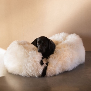 Cama de perro de algodón <span class=keywords><strong>PP</strong></span> de espuma viscoelástica suave y cómoda de felpa redonda - Product Image 4
