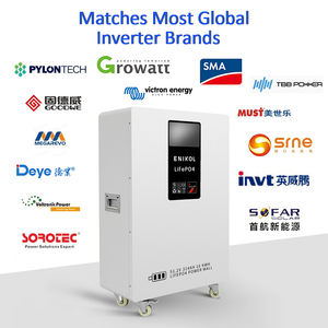 8000 사이클 오프 그리드 에너지 저장 51.2v 배터리 Lifepo4 314ah 리튬 이온 배터리 48v 300ah - Product Image 2