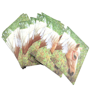 บริการพิมพ์ชุดการเรียนรู้แบบแฟลชการ์ดสั่งทำพิเศษสำหรับเด็ก พร้อมกล่อง  ผู้ผลิตแฟลชการ์ดขายส่ง - Product Image 4