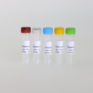 Bộ pcr huỳnh quang độ nhạy cao cho <span class=keywords><strong>Mycoplasma</strong></span> hyopneumoniae ở lợn-Kết quả nhanh chóng - Product Image 2