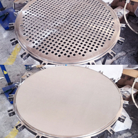 Filtre horizontal automatique en acier inoxydable 50L pour le déparaffinage de l'huile Filtre à plaque de pression 316 L pour les applications de filtration