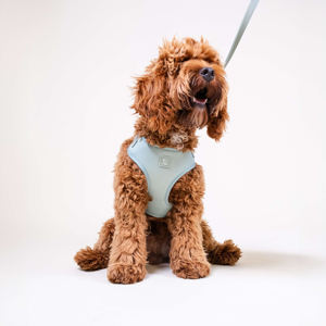 Harnais pour chien en nylon rembourré respirant <span class=keywords><strong>personnalisé</strong></span> avec logo de luxe, facile à ajuster, pour promener 2 chiens, sans traction, italien - Product Image 6