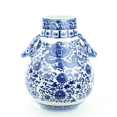 RYUJ21 blu e bianco