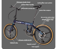 Bicicleta Plegable Aurora Chameleon con Cuadro de Carbono T700, Pintura con Efecto de Cambio de Color Exclusivo, Apariencia Elegante y Urbana