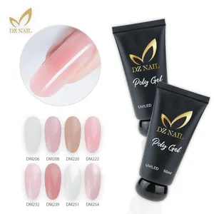 DZ Bán Buôn Nail Polish Số Lượng Lớn Nhãn Hiệu Riêng Nail Extension UV Acrylic Gel Poly Gum Nail Gel