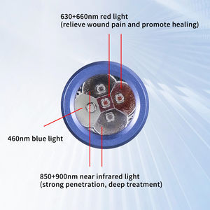 Dispositivo de pluma de antorcha de terapia de luz roja de 460nm, 630nm, 660nm, 850nm, 900nm - Product Image 4