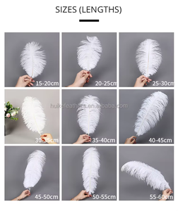 Vrac 50-55cm grandes plumes d'autruche blanches pour décorations de mariage ornements de bureau blanchis pour montage de mouches - Product Image 6