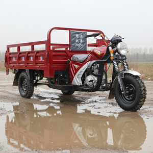 Tricycle à marchandises pour adultes à trois roues à essence à benne basculante motorisé avec cabine ouverte, vente chaude - Product Image 5