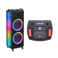 Altavoz de Karaoke NDR-1212S, Altavoces Grandes para Fiestas al Aire Libre, Altavoz con Micrófono y Bluetooth para el Hogar/Fiestas/Exterior