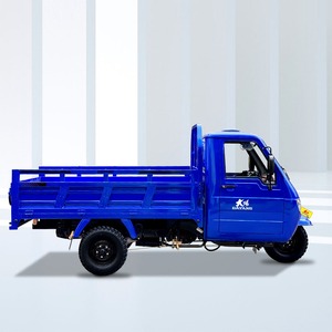 DAYANG truk kargo pengiriman gas bertenaga 250cc 3 roda mesin muatan - Product Image 2