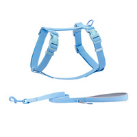 Accessoires pour animaux de compagnie Fournitures Logo personnalisé imperméable en caoutchouc gilet réglable Pvc enduit sangle Silicone chien harnais et laisse ensemble