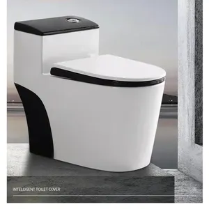 Placard de toilette en céramique résistante à l'eau, hypercyclone, noir et blanc, accessoires hygiéniques, ensemble de wc en usine,