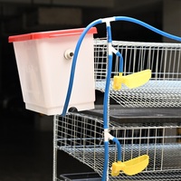 Système de cage à cailles à 6 niveaux pour usage commercial |   Cage à cailles en métal galvanisé haute capacité |   Équipement avicole professionnel