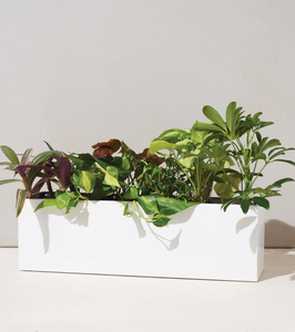 Boîte de <span class=keywords><strong>Jardinière</strong></span> de Plantes d'Intérieur Smart Home de Style Chaud Vente en Gros - Product Image 1