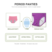 Culottes hygiéniques réutilisables taille haute, vente en gros, fabricant de marques privées, fournisseur, emballage personnalisé