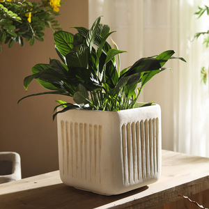 Pot <span class=keywords><strong>de</strong></span> fleurs extra large au design nordique pour plantes serpentines, idéal pour la décoration extérieure, <span class=keywords><strong>salon</strong></span>, balcon, bureau, cour. - Product Image 2