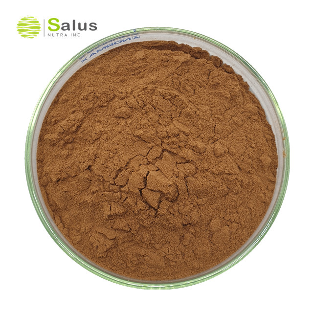 Reishi Mushroom Extract Powder Polysaccharides 30% Potent Mushroom Supplement for Immune System Support and Defense