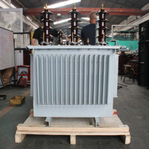 हेतुओ 500kva ieck मानक 6/10/11/13.8/22kv इनपुट तेल-विसर्जित तीन चरण टोरिडल ट्रांसफार्मर बिजली आपूर्ति उपकरण 10kv 220v - Product Image 1