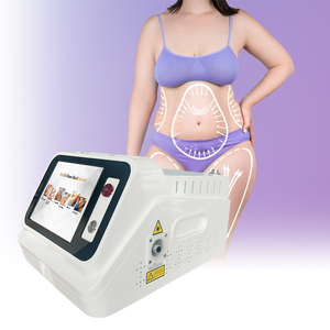 Láser Endolift Portátil de 980nm de Alta Potencia para Terapia Física, Eliminación de Hongos <span class=keywords><strong>en</strong></span> las Uñas y Arañas Vasculares - Product Image 4